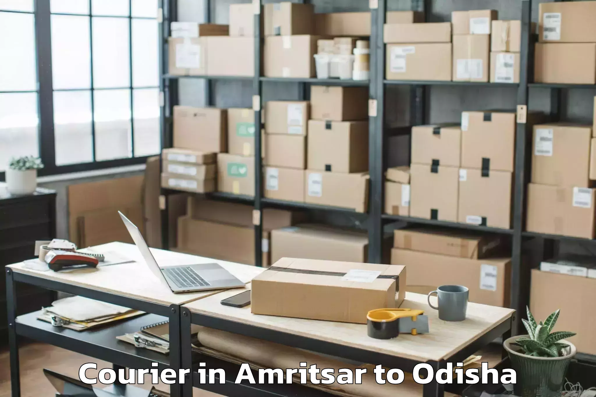 Book Amritsar to Khandapada Courier Online